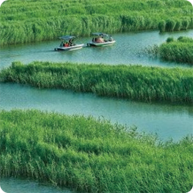 地表水流域綜合治理項目案例 地表水流域綜合治理項目案例