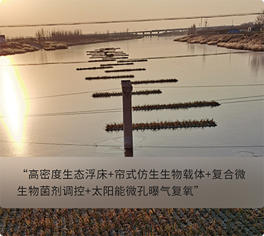 人工濕地示范工程 人工濕地示范工程