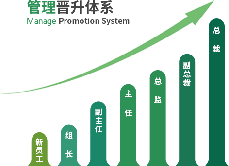 管理晉升體系