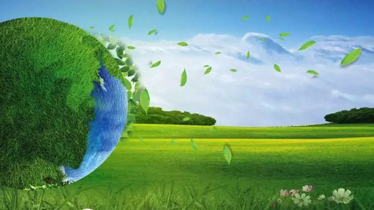 29163847hhu6.jpg 29163847hhu6.jpg