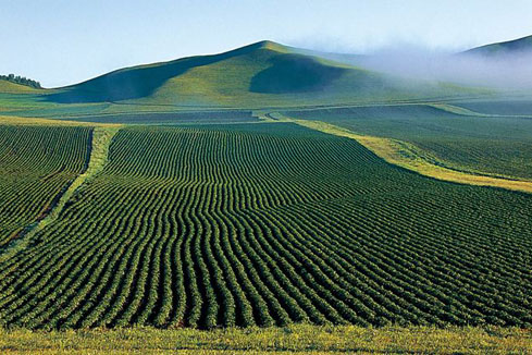 研讀土壤修復(fù)行業(yè)發(fā)展報告（咨詢篇）、（工程篇）