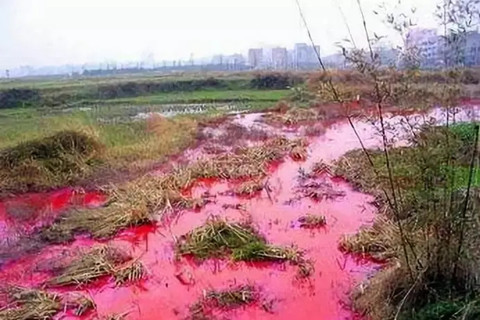 土壤重金屬檢測的幾種常規方法