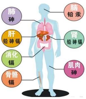 1609387129482931.jpg 污染物對人體傷害.jpg