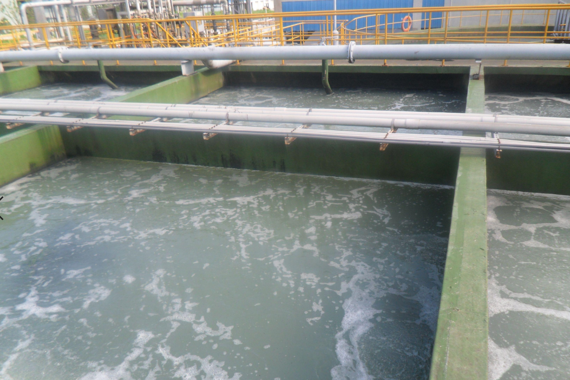 水解酸化 水解酸化