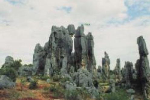 1614584867495751.jpg 自然資源.jpg