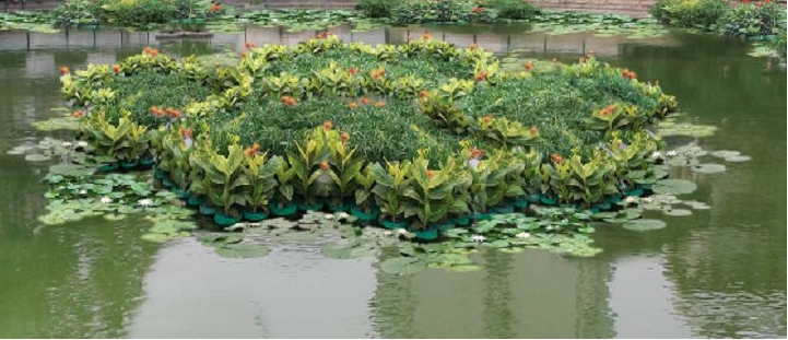 成熟的人工浮島 成熟的人工浮島