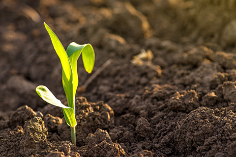 河北華清 河北華清