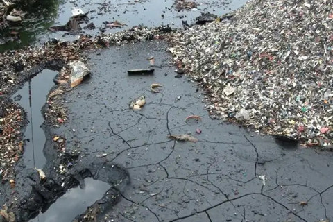 河北華清 河北華清