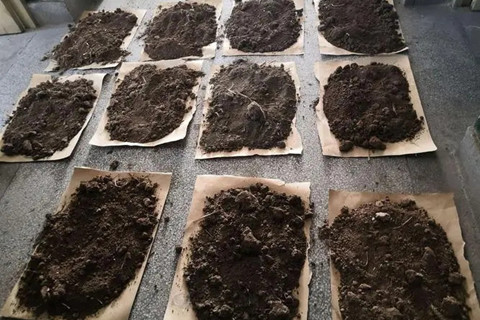 1649926246827783.jpg u=2131836264,2885849394&fm=253&fmt=auto&app=138&f=JPEG.webp_副本.jpg