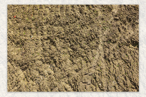 <a href=http://m.gjsfb998.com/turangjiance.html>土壤檢測</a> 土壤檢測