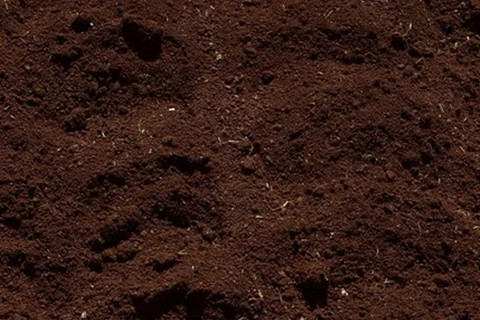 <a href=http://m.gjsfb998.com/turangjiance.html>土壤檢測</a> 土壤檢測