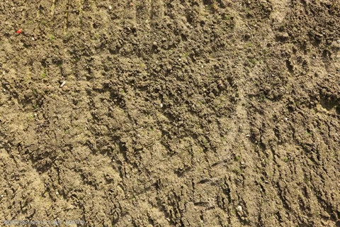 <a href=http://m.gjsfb998.com/turangjiance.html>土壤檢測</a> 土壤檢測