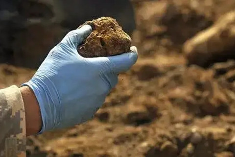 <a href=http://m.gjsfb998.com/turangjiance.html>土壤檢測</a> 土壤檢測