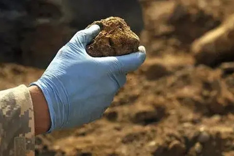 <a href=http://m.gjsfb998.com/turangjiance.html>土壤檢測</a>.jpg 土壤檢測.jpg